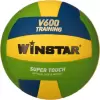 Волейбольный мяч Winstar WN11005 (5 размер) icon