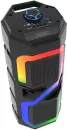 Беспроводная колонка Tracer Natrix фото 2