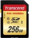 Карта памяти Transcend SDXC 256Gb Class 10 UHS-I U3 (TS256GSDU3) icon