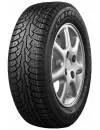 Зимняя шина Triangle TR757 225/45R18 95T icon