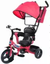 Велосипед детский Trike Pilot PT1DR 10/8&#34; 2020 (розовый) icon