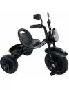 Детский велосипед TRIKE Formula F8B (черный) icon