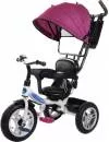 Велосипед детский Trike Pilot PTA1V 12/10&#34; 2020 (фиолетовый) icon