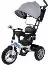 Велосипед детский Trike Pilot PTA1GR 12/10&#34; 2020 (серый) icon