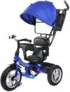 Велосипед детский Trike Pilot PTA1B 12/10&#34; 2020 (синий) icon