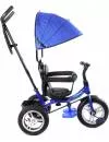 Велосипед детский Trike Pilot PTA1B 12/10&#34; 2020 (синий) фото 3
