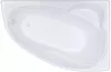 Акриловая ванна Triton Изабель 170x100 левая (с каркасом, сифоном, экраном) фото 2