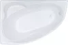 Акриловая ванна Triton Изабель 170x100 правая (с каркасом, сифоном, экраном) фото 2