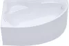 Акриловая ванна Triton Кайли 150x100 правая (с каркасом, экраном, сифоном) фото 2
