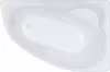 Ванна Triton Николь 160x100 L icon