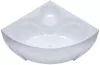 Акриловая ванна Triton Сабина 160x160 (с каркасом, сифоном, экраном) фото 2