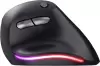 Вертикальная мышь Trust Bayo Ergo Eco (черный) icon 6