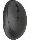 Компьютерная мышь Trust Orbo Wireless Ergonomic icon 2