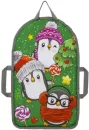 Санки-ледянка Тяни-Толкай ЛДМО-100 Pinguin icon