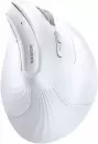 Вертикальная мышь Ugreen MU008 45759 (белый) фото 4