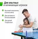 Теннисный стол Unix Line Simple Indoor 12mm MDF (синий) icon 12