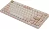 Клавиатура Varmilo Minilo VXB81 Mendozae (Varmilo EC Sakura V2, нет кириллицы) icon 2