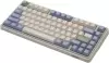 Клавиатура Varmilo VXT81 Eucalyptus Kailh Prestige Light icon 3