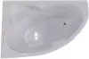 Акриловая ванна VentoSpa Nika 170x115 L icon
