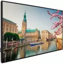 Информационная панель Vestel PN65B-4H icon 2