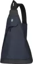 Рюкзак Victorinox Altmont Original 606749 (синий) icon