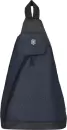 Рюкзак Victorinox Altmont Original 606749 (синий) icon 2
