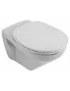 Унитаз Villeroy &#38; Boch Omnia Classic 7682 10 icon