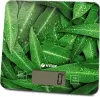 Кухонные весы Vitek VT-8035 icon