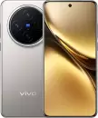 Смартфон Vivo X200 12GB/256GB китайская версия (титан) icon