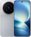 Смартфон Vivo X500 Pro Max V2602A 12GB/256GB китайская версия (серый) icon