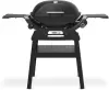 Гриль Weber Q 2100N 1501094 icon