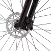 Велосипед Welt Rambler 2.0 L 2025 (Baron Red) icon 9