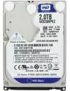 Жесткий диск Western Digital Blue (WD20NPVZ) 2000Gb icon