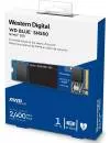 Жесткий диск SSD Western Digital Blue SN550 (WDS100T2B0C) 1000Gb фото 4