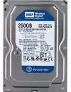 Жесткий диск Western Digital Caviar Blue (WD2500AAKX) 250 Gb icon