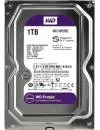 Жесткий диск Western Digital Purple (WD10PURZ) 1000 Gb icon