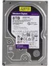 Жесткий диск Western Digital Purple (WD82PURZ) 8000Gb icon