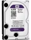 Жесткий диск Western Digital Purple (WD40PURX) 4000 Gb фото 2