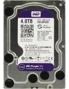 Жесткий диск Western Digital Purple NV (WD4NPURX) 4000Gb icon