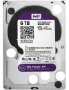 Жесткий диск Western Digital Purple NV (WD6NPURX) 6000Gb icon