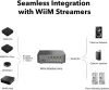 Усилитель мощности WiiM Vibelink Amp (серый) фото 2
