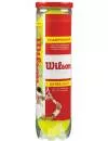 Мячи теннисные Wilson Championship Extra Duty (4 шт) WRT110000 icon