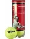 Мячи для большого тенниса Wilson Championship T1001E icon