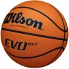 Баскетбольный мяч Wilson EVO NXT FIBA Champions League (7 размер) фото 2
