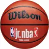 Баскетбольный мяч Wilson JR.NBA Fam Logo Indoor Outdoor WZ2009801XB7 (размер 7) icon
