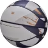 Баскетбольный мяч Wilson NBA Champagne Series 2 Expression WZ2019001XB7 (7 размер) icon 2