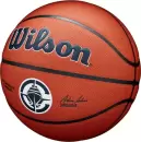 Баскетбольный мяч Wilson NBA Los Angeles Clippers WZ4029313XB7 (7 размер) icon 3