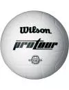 Мяч волейбольный Wilson Pro Tour Indoor WTH3900X icon