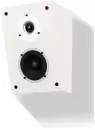 Дипольная WILSON Raptor X (белый) icon
