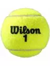 Мячи теннисные Wilson Roland Garros All Court WRT116400 (4 шт) icon 2